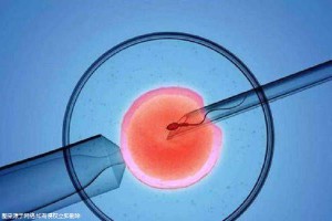 张明华 院长